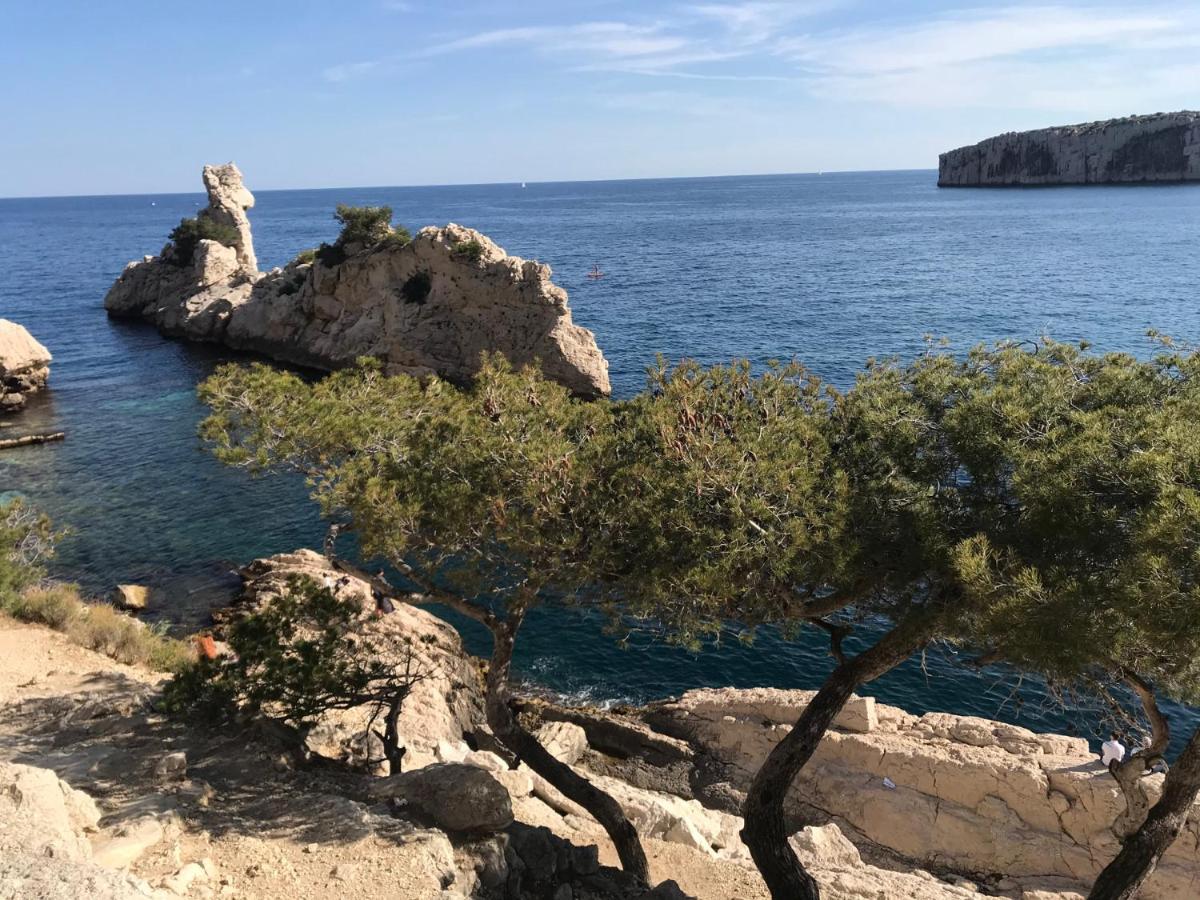 Bas De Villa Jardin Plein Sud Proche Mer Clim-Wifi Saint-Mandrier-sur-Mer Eksteriør billede