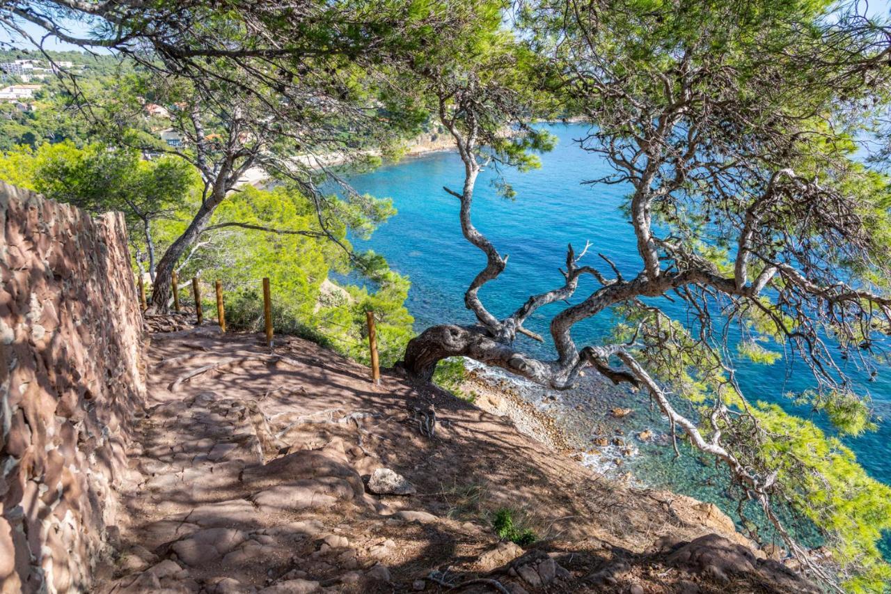 Bas De Villa Jardin Plein Sud Proche Mer Clim-Wifi Saint-Mandrier-sur-Mer Eksteriør billede