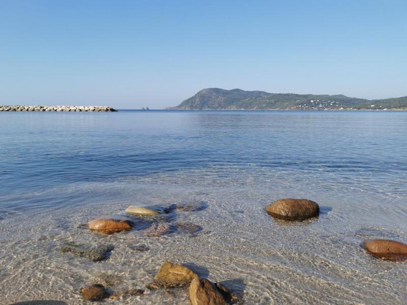 Bas De Villa Jardin Plein Sud Proche Mer Clim-Wifi Saint-Mandrier-sur-Mer Eksteriør billede